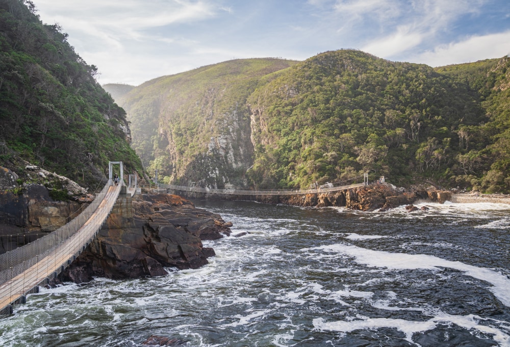 Tsitsikamma Nationalpark & Austernfahrt bei Knysna